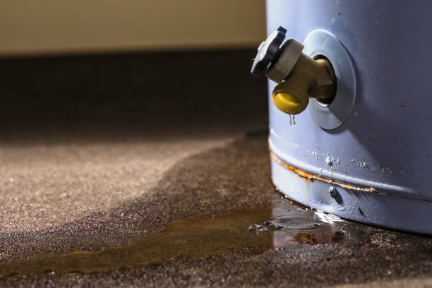 Best Water damage restoration near me  in Scarsdale, NY