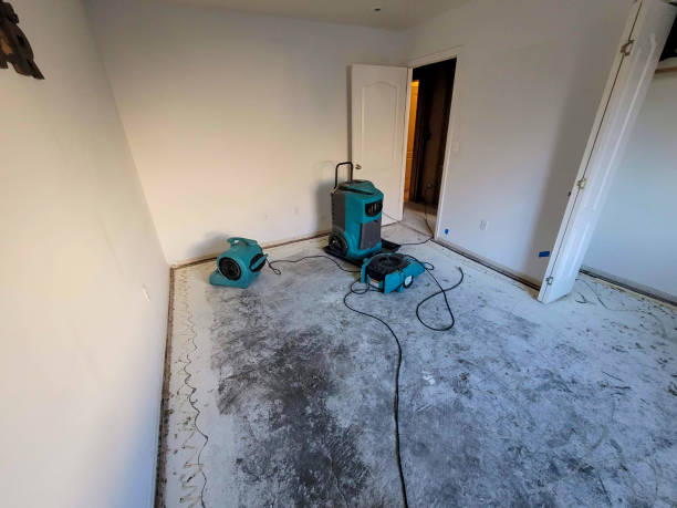 Best Mold removal after water damage  in Scarsdale, NY