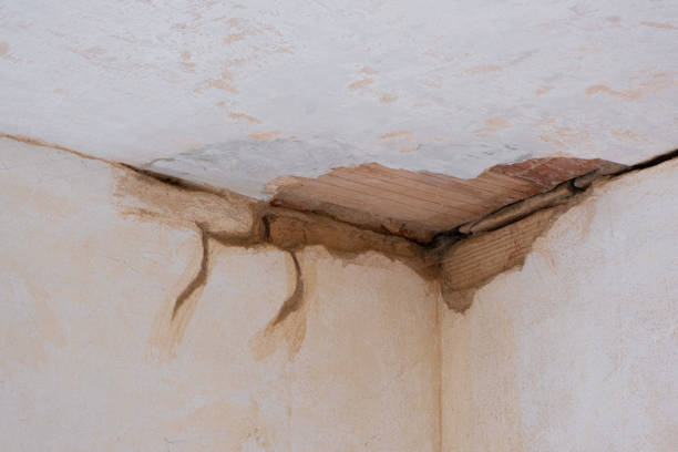 Best Basement water damage restoration  in Scarsdale, NY