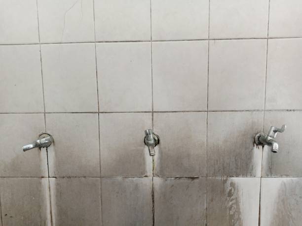 Best Fire Damage Restoration  in Scarsdale, NY