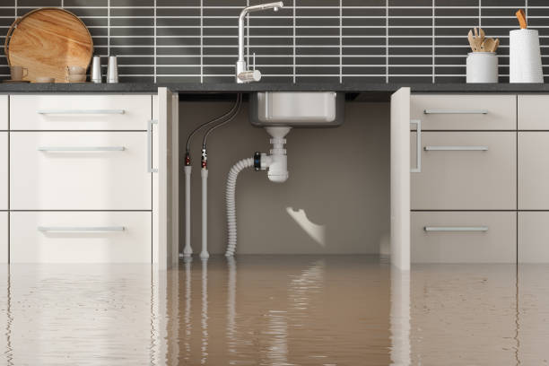 Best Local water damage restoration  in Scarsdale, NY